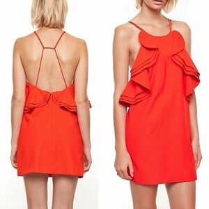 Revolve Cameo Wake Me Ruffled Mini Dress